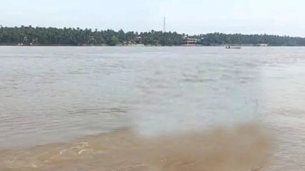 ఫీడర్‌ కెనాల్‌లో ఇద్దరు గల్లంతు