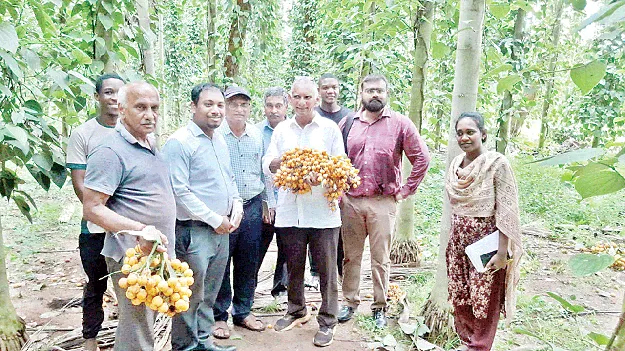 అంతర పంటల సాగు అభివృద్ధికి మాస్టర్‌ ప్లాన్‌