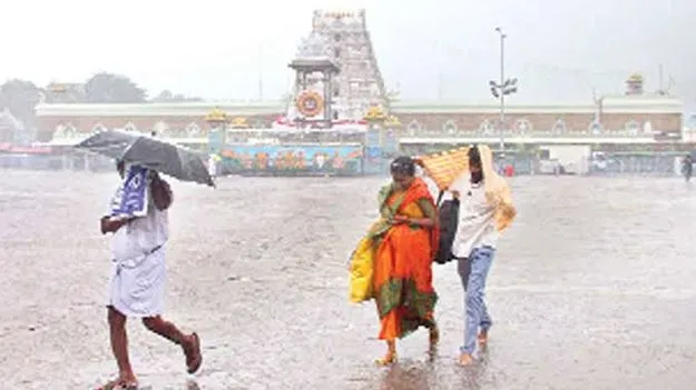 తిరుమలలో జోరు వాన