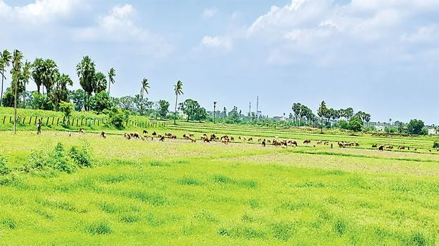సా..గుతోంది!