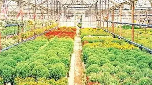 17 వరకు గ్లోబల్‌ హార్టికల్చర్‌ హబ్‌పై అవగాహన 
