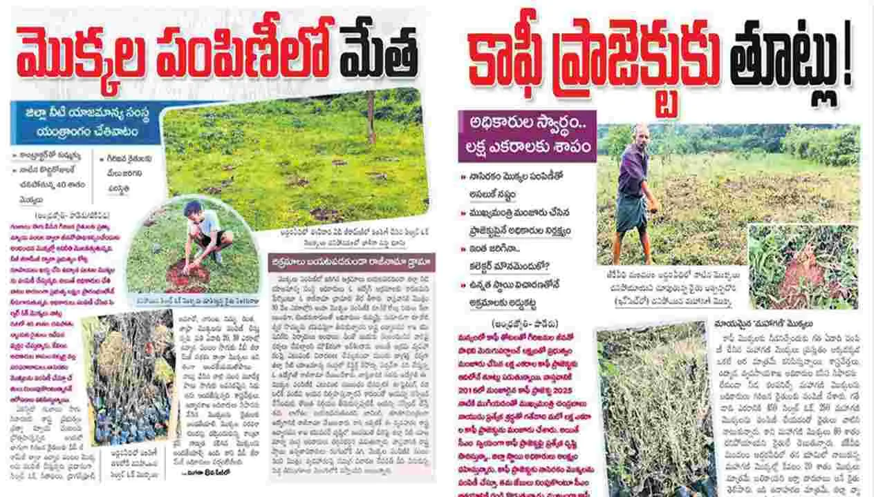 మొక్కల పంపిణీపై నివేదిక ఇవ్వండి