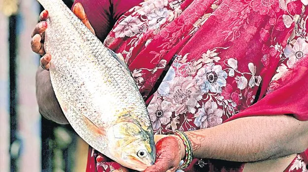  పులస.. 2 కిలోలు @24వేలు