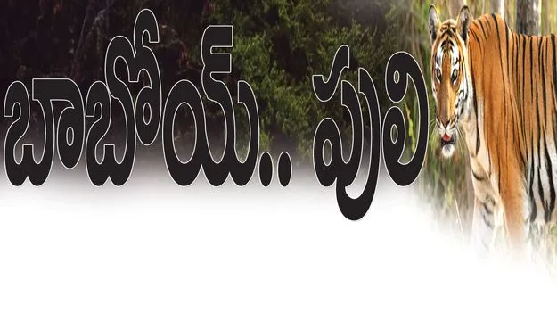 Kumaram Bheem Asifabad:   బాబోయ్‌.. పులి