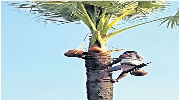Kumram Bheem Asifabad:  గీత కార్మికులకు గుర్తింపు కార్డు తప్పనిసరి