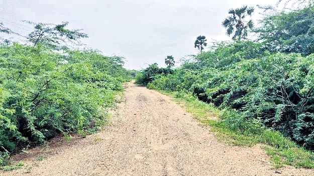 గ్రామీణ రోడ్లకు మహర్దశ