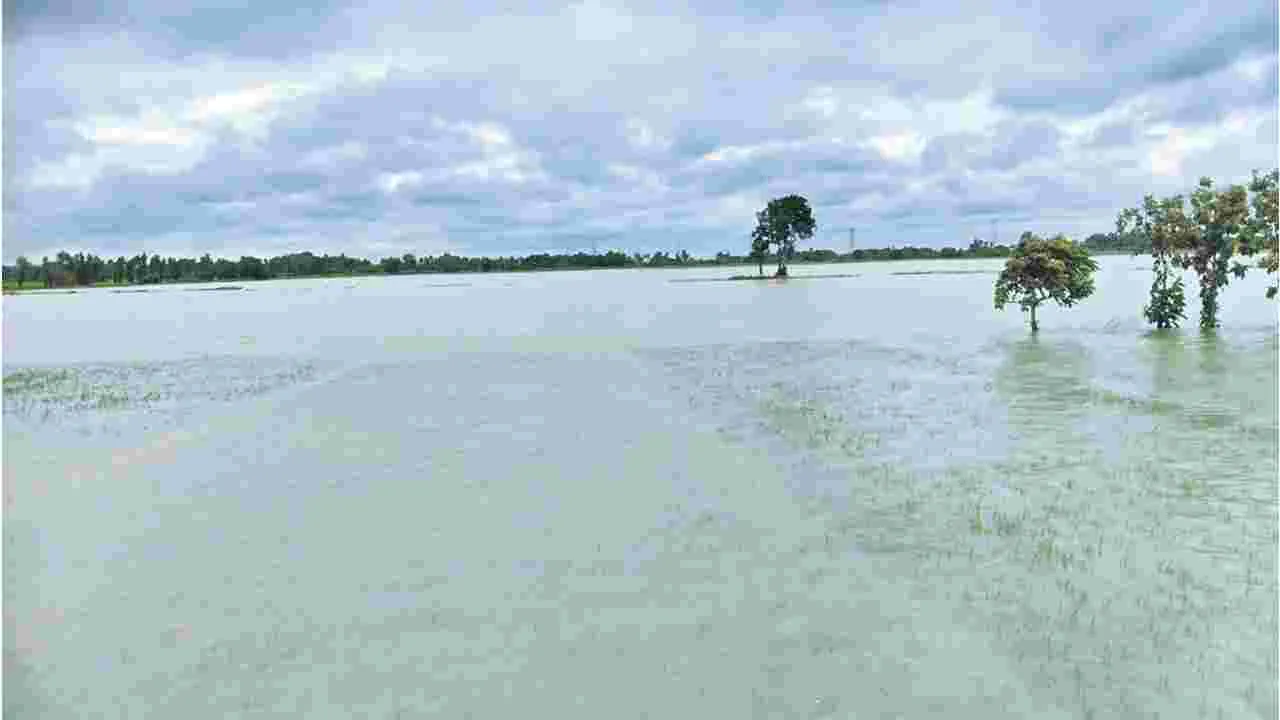 కరువు తీరా కురిసింది