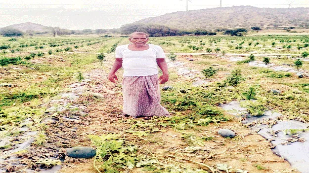 రైతును ముంచిన కలింగర