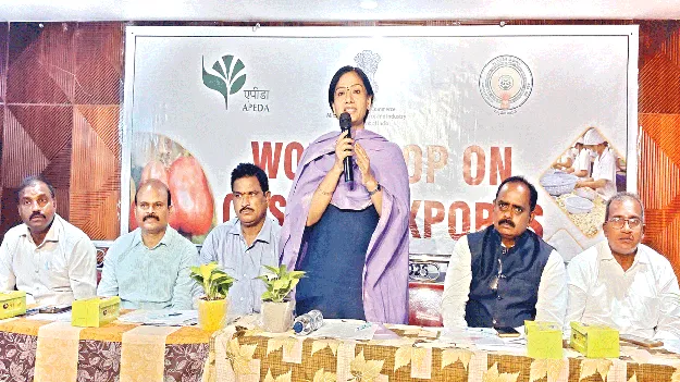  జీడి ఎగుమతులకు ప్రోత్సాహం