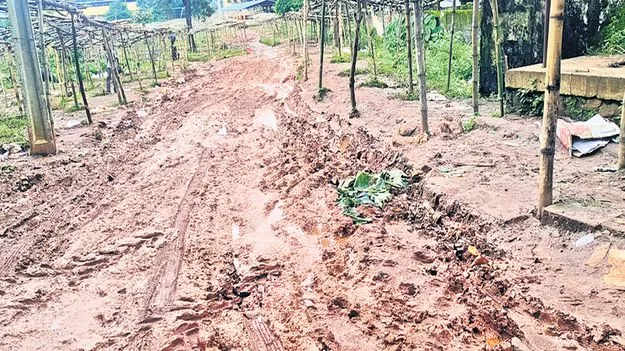 ఇదేం సంత!
