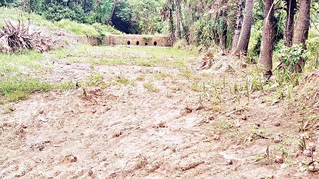గెడ్డ, సాగరం.. అయితే మాకేం!