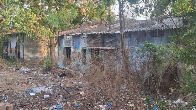 బోసిపోతున్న కాలనీలు...