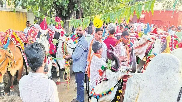 kumaram bheem asifabad- ఘనంగా పొలాల అమావాస్య 