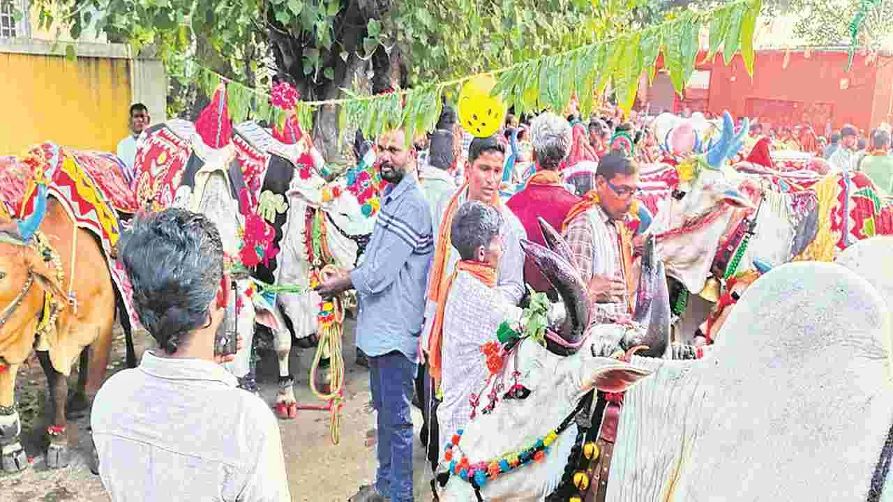 kumaram bheem asifabad- ఘనంగా పొలాల అమావాస్య