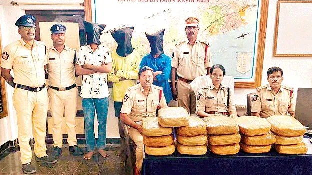 ..వయా పలాస