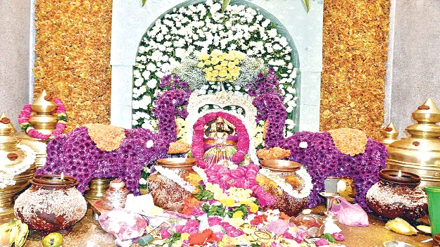 నేడు పైడిమాంబ జాతర ప్రచార రథం ప్రారంభం 