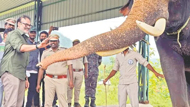 ఏనుగుల సంరక్షణ కేంద్రాన్ని పరిశీలించిన నాగబాబు