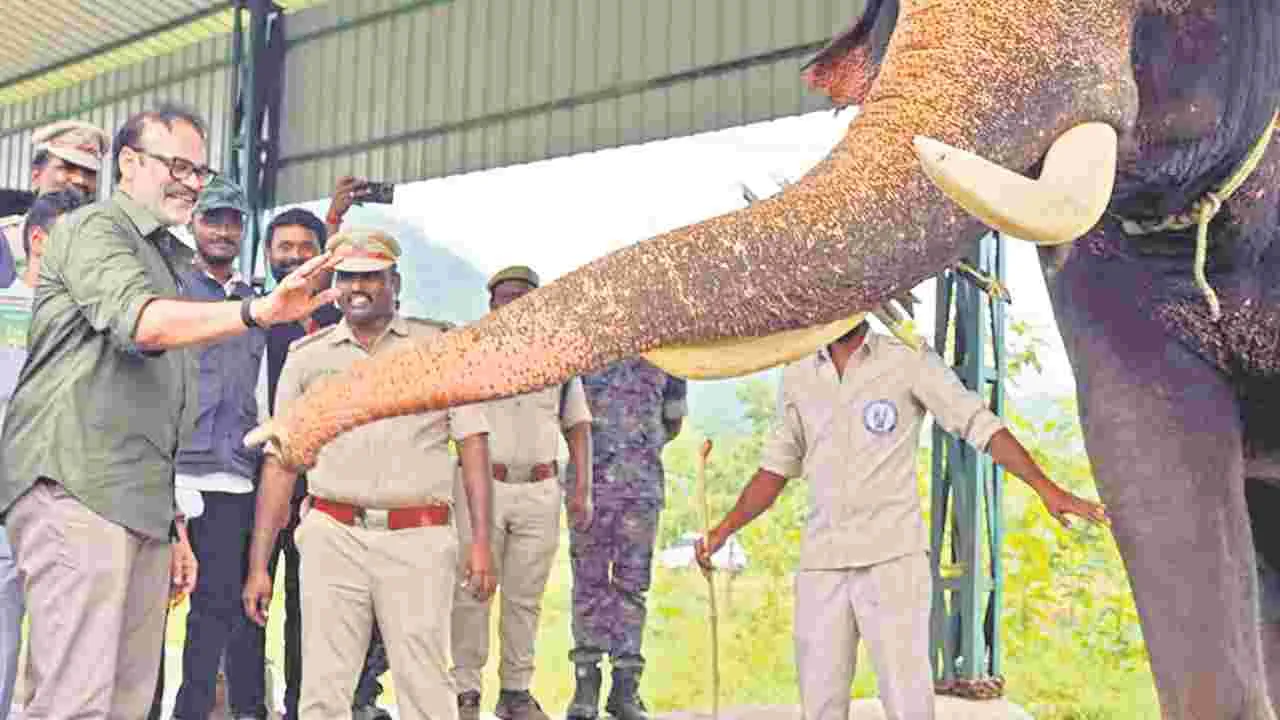 ఏనుగుల సంరక్షణ కేంద్రాన్ని పరిశీలించిన నాగబాబు