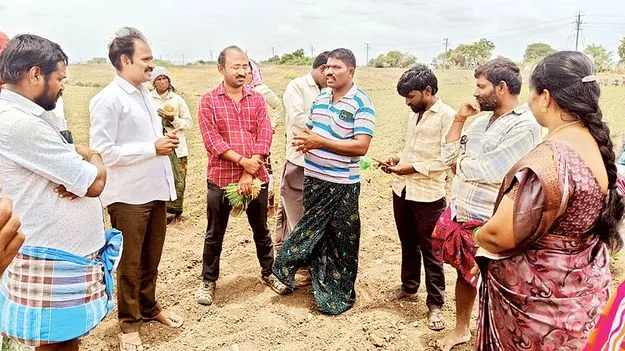 ఉద్యాన పంటల అభివృద్ధికి ప్రణాళిక