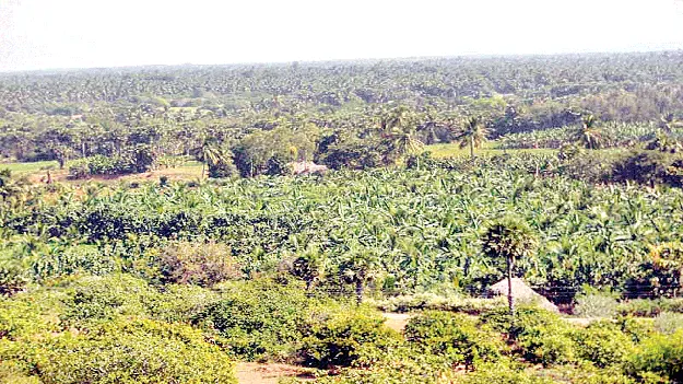 ‘అణు’వంతైనా కదలిక లేక..