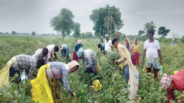 వలస జిల్లాకే వలస