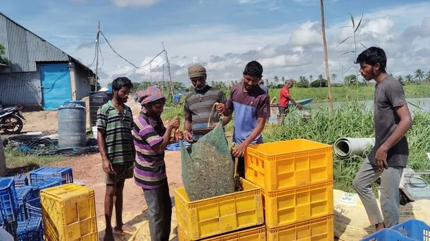వాన మొదలైంది.. 