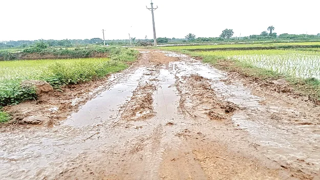 దామోదరపురానికి దారేది?