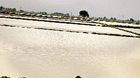 ఉప్పొంగిన వాగులు, వంకలు