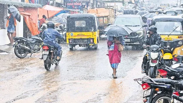 మన్యంలో వర్షం