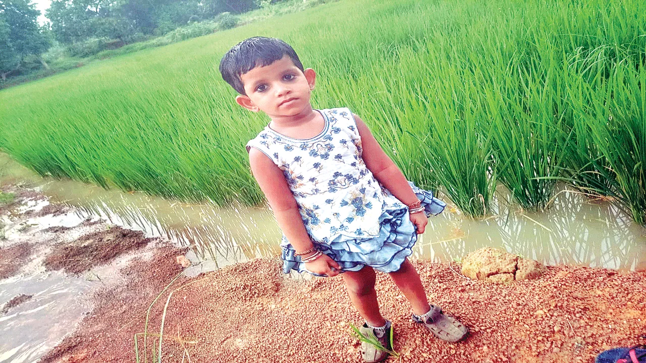 శుభకార్యానికి బయలుదేరి...
