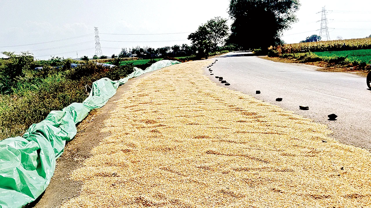దిగుబడి ఉన్నా ధర లేదు