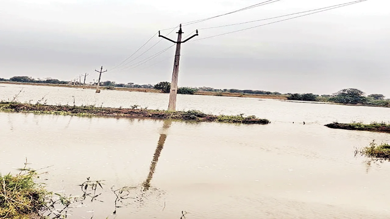 కొనసాగుతున్న వర్షాలు..