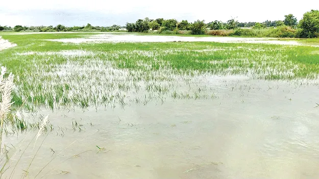  తుఫాన్‌ బీభత్సం 