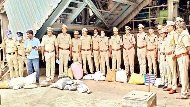 గంజాయి ధ్వంసం  