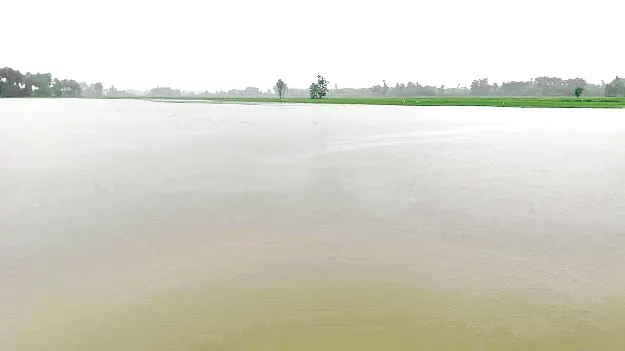 over raining జలమయం