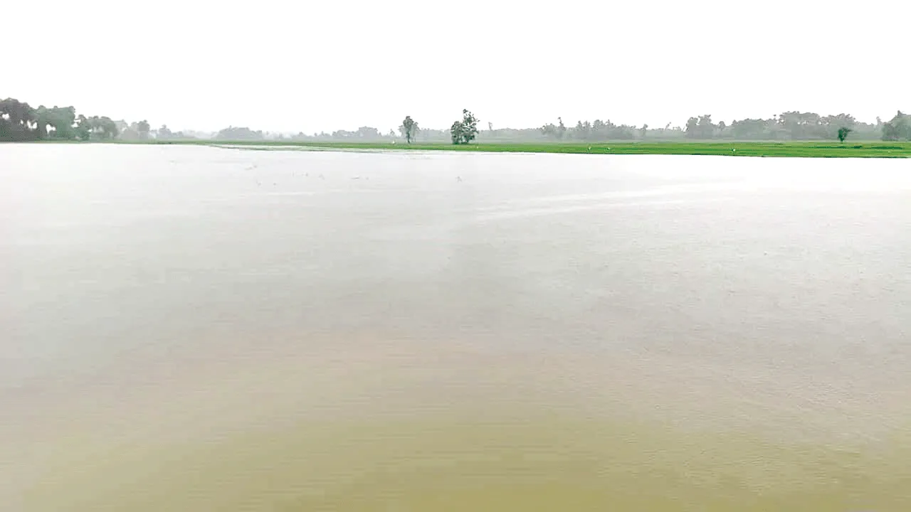 over raining జలమయం
