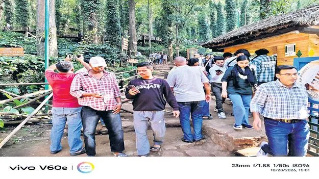 మన్యంలో పర్యాటక సందడి