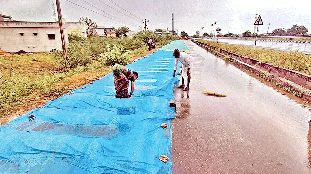 పలకరించిన వాన