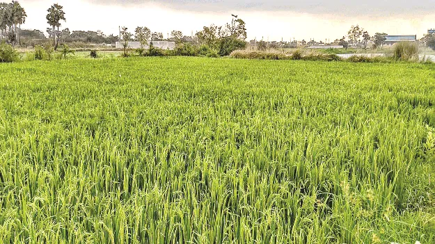 ముంచుకొస్తున్న తుఫాన్‌ 