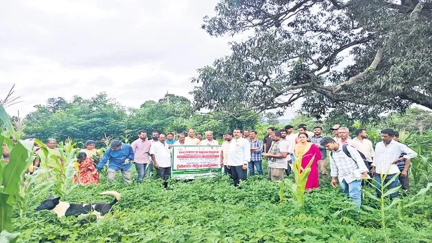సేంద్రీయ సాగుకు ప్రోత్సాహం
