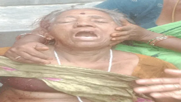 చెట్టు తొలగిస్తుండగా.. 