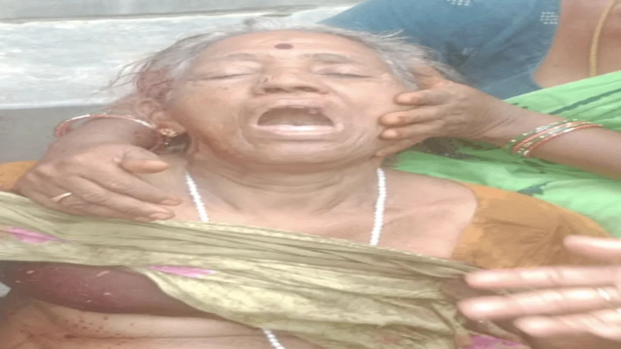 చెట్టు తొలగిస్తుండగా.. చెట్టు తొలగిస్తుండగా..