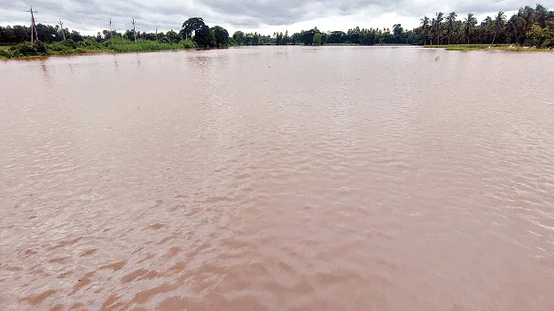  తుఫాన్‌ మిగిల్చిన నష్టం