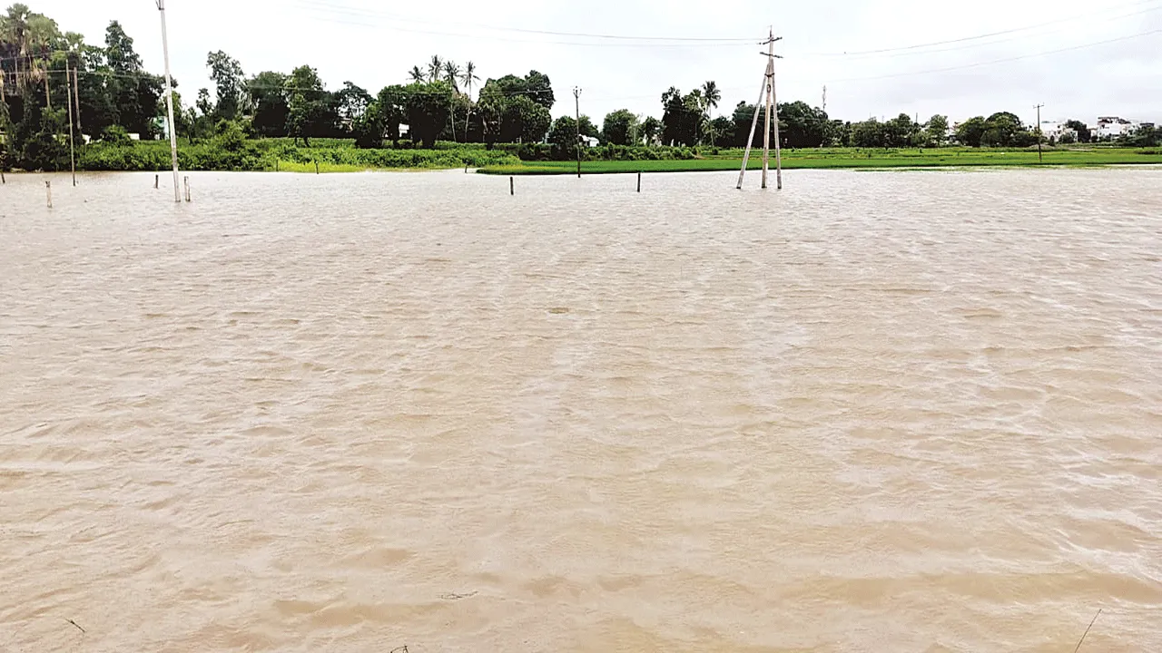 Rain... Flood వాన.. వరద