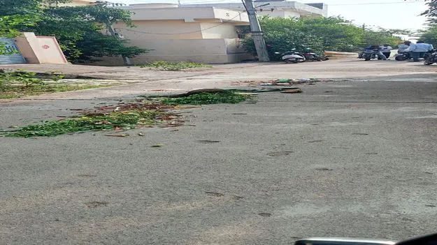 రోడ్డుపై చెత్త