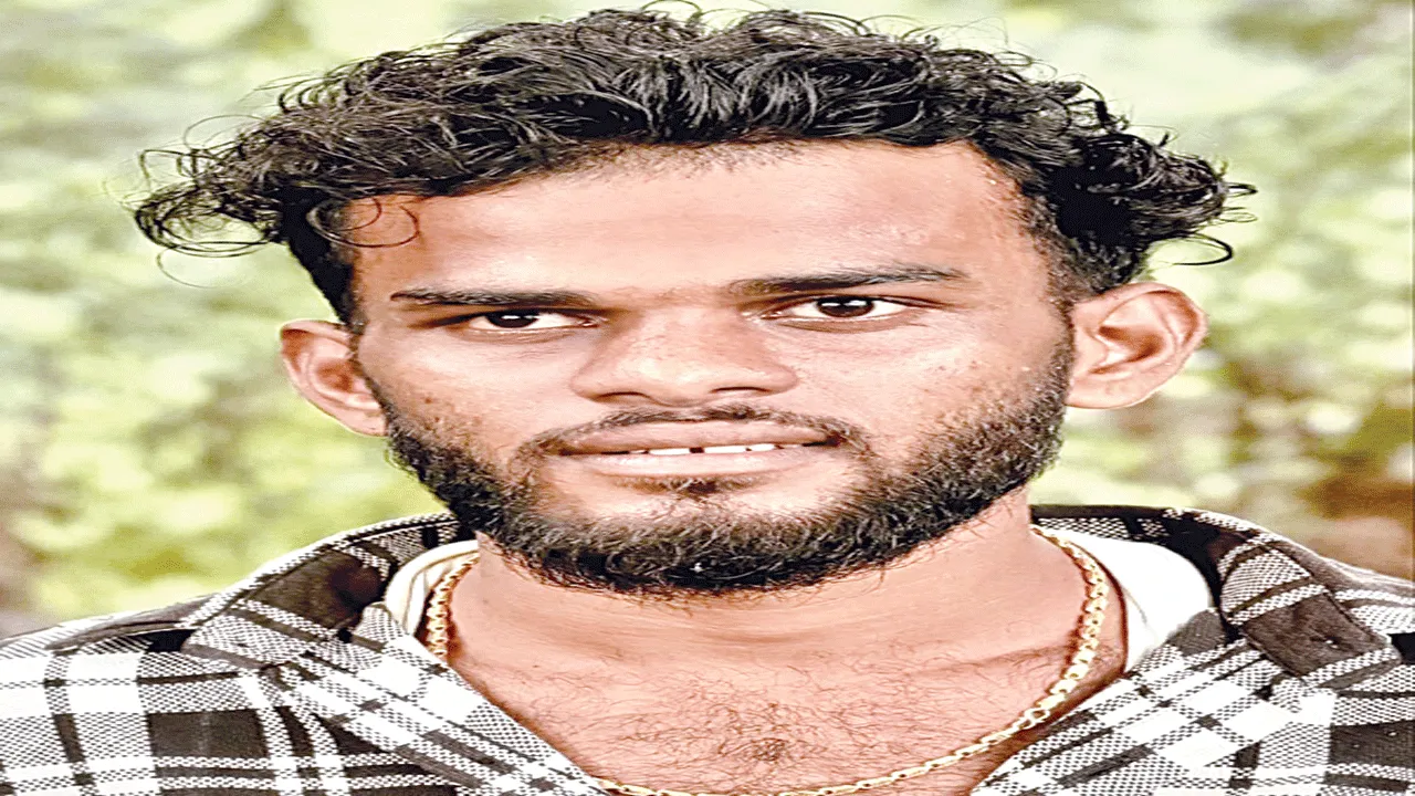 పెళ్లయిన నాలుగు నెలలకే...