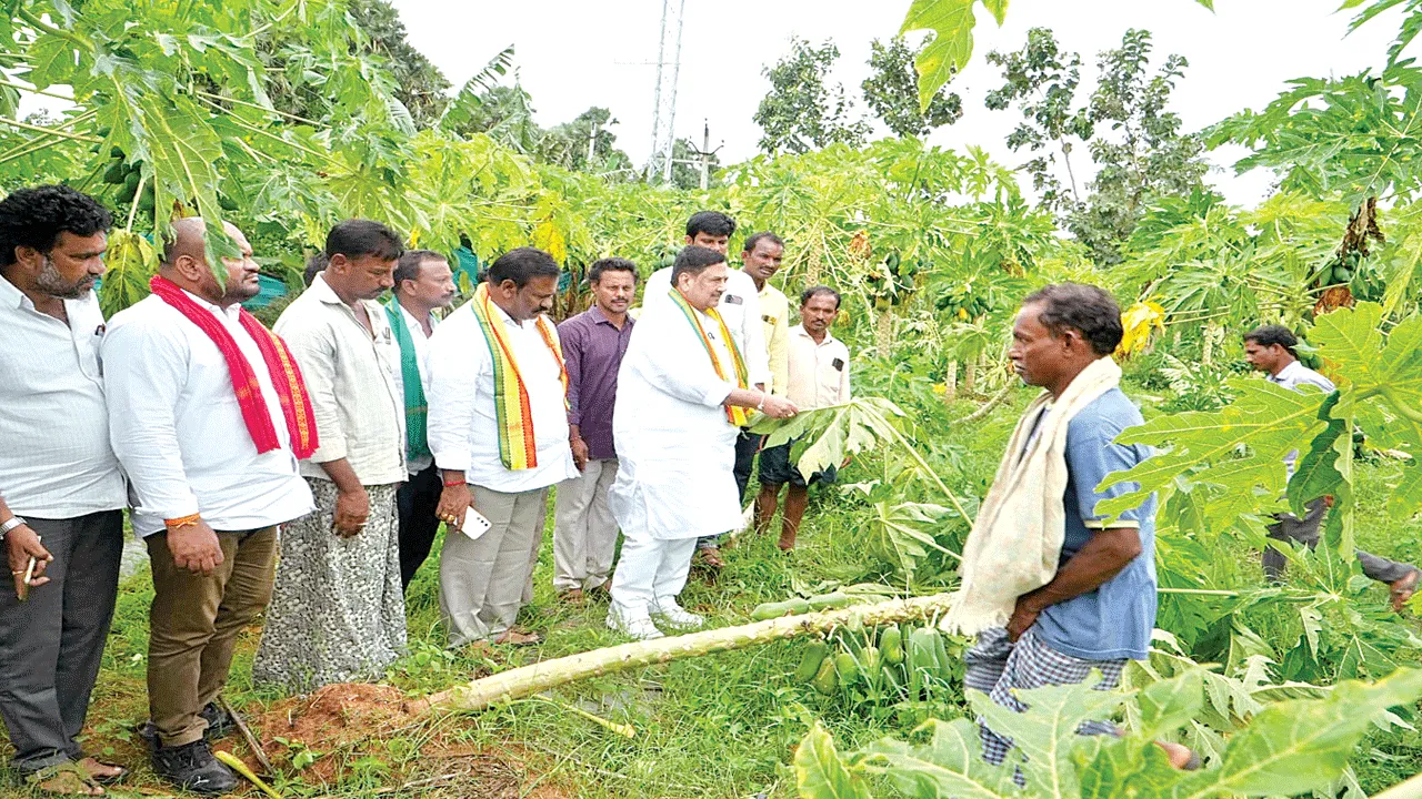 నష్టపోయిన ప్రతిఒక్కరినీ ఆదుకుంటాం
