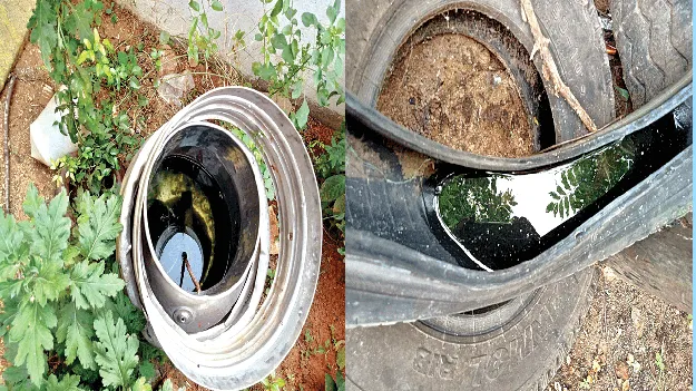     పొంచిఉన్న అంటువ్యాధుల ముప్పు