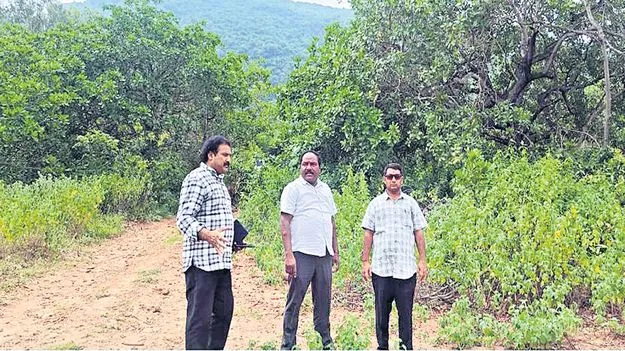 కాఫీ ప్రాసెసింగ్‌ యూనిట్‌కు 4న శంకుస్థాపన