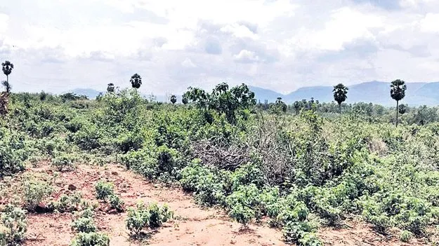 తూటిపాలలో డేటా సెంటర్‌